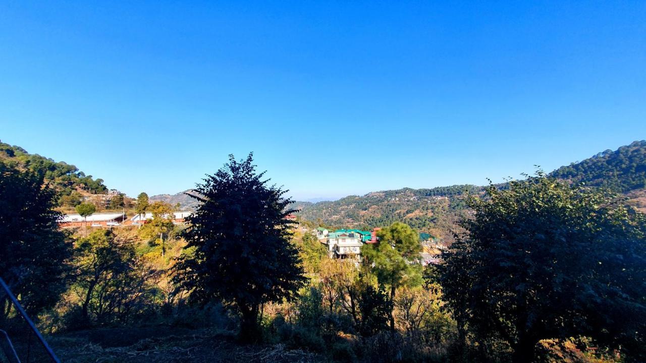 Wildleaf Kasauli Valley Homz B&B 외부 사진